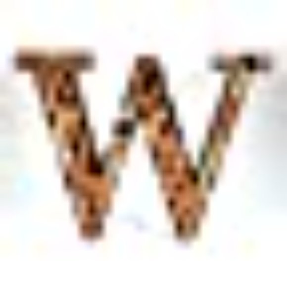 Wine Cork Holder Metal Monogram Letter / Succulent Decoration - Picture 4 of 13